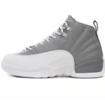 Air Jordan 12 Stealth CT8013-015