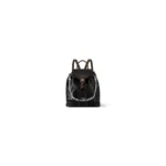LV Montsouris PM