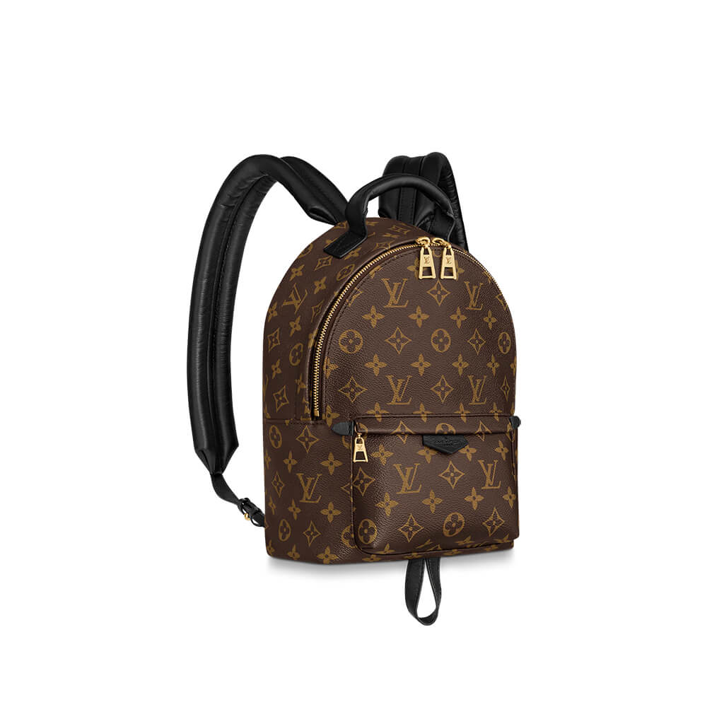 6aafc37b8340a6ae1b4d5b943f4b4213 Louis Vuitton PALM SPRINGS PM - Image 1