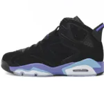 Air Jordan 6 GRAPE CT8529-004