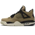 Air Jordan 4 Retro Fossil (W) AQ9129-200
