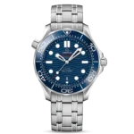 DIVER 300M CO‑AXIAL MASTER CHRONOMETER 42 MM-210.30.42.20.03.001
