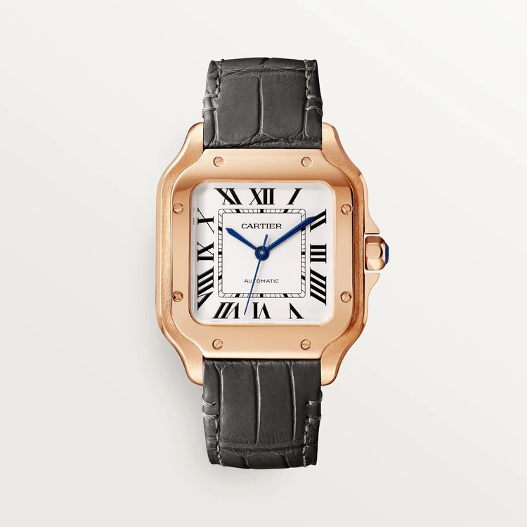 a36c0c870b9fee44e1e6a0733cb288c5 SANTOS DE CARTIER WATCH -WGSA0028 - Image 1