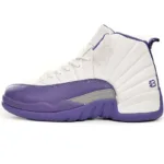Air Jordan 12 PAICU CT8013-150