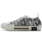 Dior B23 HT Oblique Transparency Low H565 White Black