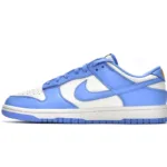 Nike Dunk Low Coast (W) DD1503-100