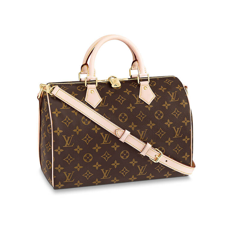 e1e60a52cf2a148a29f68aefbc66948f LV Speedy Bandouliere 30 Handbag - Image 1