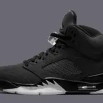 Air Jordan 5 Black Cat