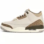 Air Jordan 3 Retro Palomino CT8532-102