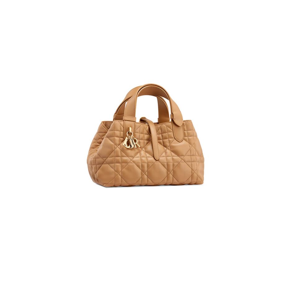 f674ad606ac3f664b1723c47dde426fd MEDIUM DIOR TOUJOURS BAG - Image 1